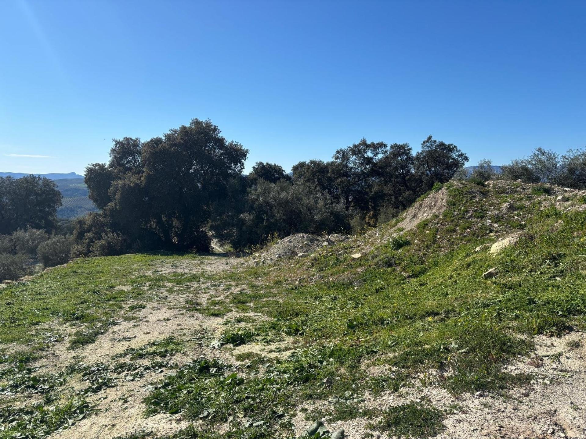 Finca Rústica de 1,5 Ha en Loja (Documentación Auditada)